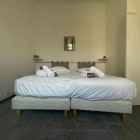 Apartment Conseil Immo - 1 Chambre, Zone Semi Pietonne -tol- Cannes