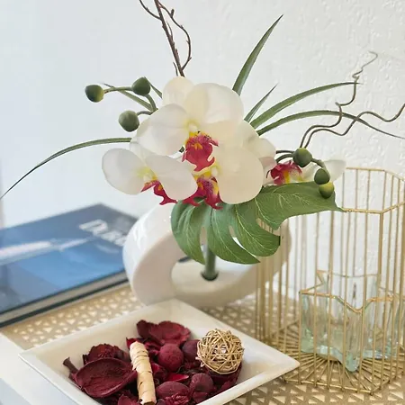 1-bedroom In The Center Of Lejlighed Cannes
